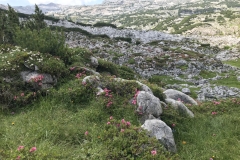 Wellen im Steinernen Meer